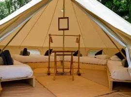 Espace Rambouillet parc forestier et animalier BIVOUAC Brame