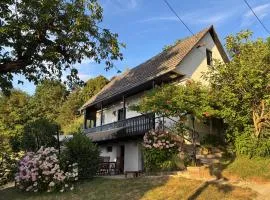 Peaceful hilltop retreat above Laško - Tovsto4