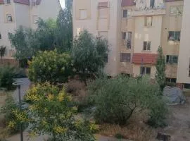 ياقوت