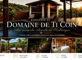 Domaine de Ti Coin