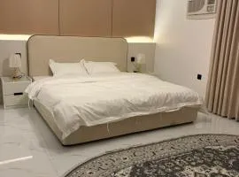 Late Night Suites