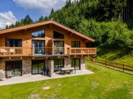 Tauernlodge Eben C4