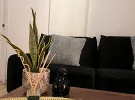 Apartamentos Trebol