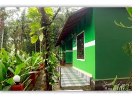 Green wayanad homestay, Hotel in Kenichira