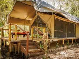 Aruba Mara Camp & Safaris