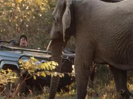 Karongwe - Chisomo Safari Camp