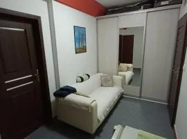 Apartment v centre