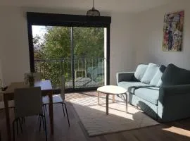 Superbe appartement avec vue sur la tour Eiffel