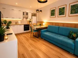 Szmaragdowa Przystań - apartament z parkingiem blisko Parku Zdrojowego i Tężni
