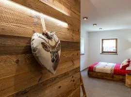 Chalet Ginepro - Chalet Maso Vecchio con vista montagne Passo Brocon, Trentino