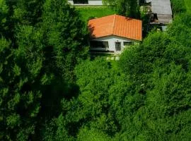 Forest Hide Tiny House