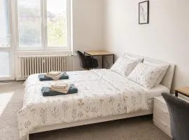 2-Bd Apartment - Festival Pohoda Nearby