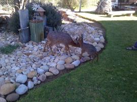 Grysbok Self Catering Accommodation, hotel em Oudtshoorn