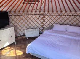 Mongolian traditional house Ger