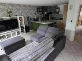 Pet Friendly 2-Bed Apt Sleeps 3 with Parking