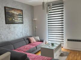 Apartman Terzić Zlatibor, khách sạn ở Palisad