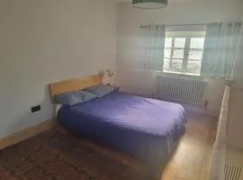 Modern Apartment