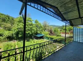 Borjomi Kvibisi Village Guset House