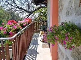 Casa vacanze Ivan Trinko