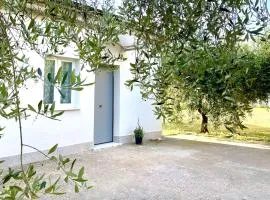 Casina Mia Assisi Airport Perugia UmbriaFiere
