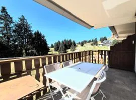 Superbe appartement au pied des pistes -Le chamois