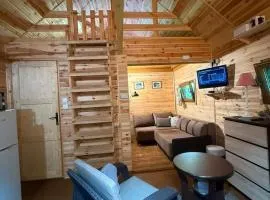 Cottage with access to the lake