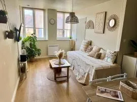 Le Cocon Bohème, appartement chaleureux