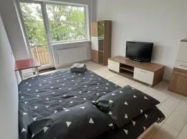 Refurbished 1 bedroom apartment for rent