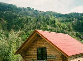 OHANA Cottages in Merisi