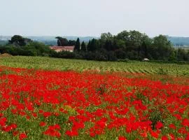 Domaine Saint Ferreol