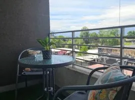 Calido y central Departamento 2 dorm
