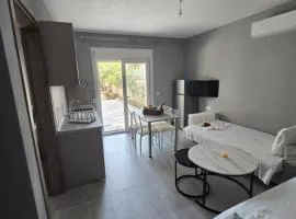 Irina's Apartment 10