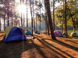 Nurral - TENT