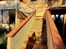 Casa Pineta
