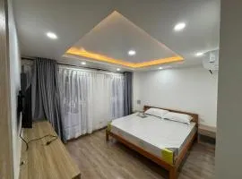 Luxury Apartment