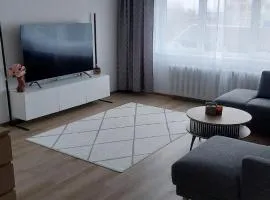Rahulik ja mönus