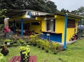 Chambre d'hôtes Jungle Hostel