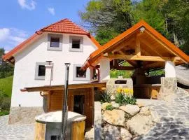 Turist farm Karničnik with wellness