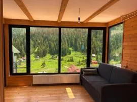Bakhmaro Eco Cottage