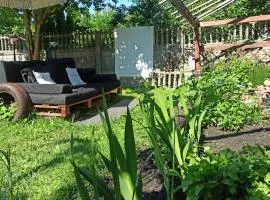Zielony Azyl large 2 bedroom apartment with balcony and free parking