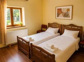 Teo Guesthouse and Camping in Mestia