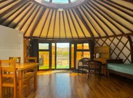 King Terelj Resort, Yurt with Modern Comfort