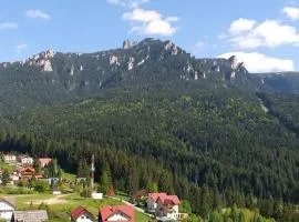 ,,Dor de Munte,, Casuta nr 24 -Complex de Pensiuni si Casute la Munte