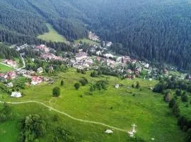,,Dor de Munte,, Casuta nr 24 -Complex de Pensiuni si Casute la Munte