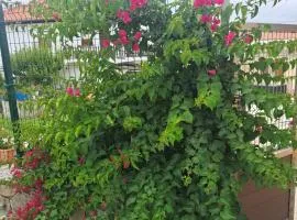 Apartamentos JOSMA