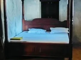 Lola House