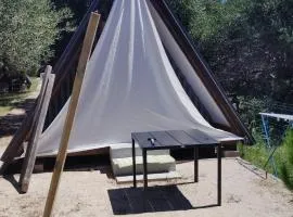 Bungalov A