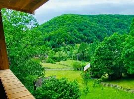 Forest Holliday House Hargita