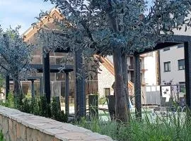 Zlatan Apartman Titova Vila Zlatibor