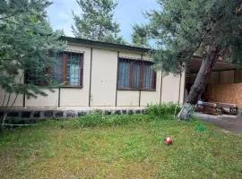 Sweet Home 3